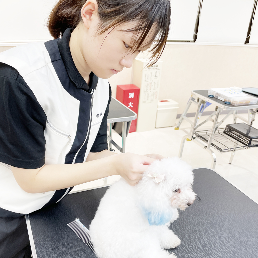 手作りリボンをつけてみよう！